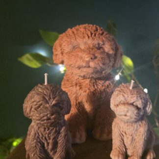 Animal Candles