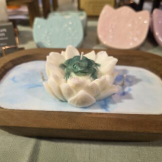 ✨️🐸Serenity Pond🪷✨️