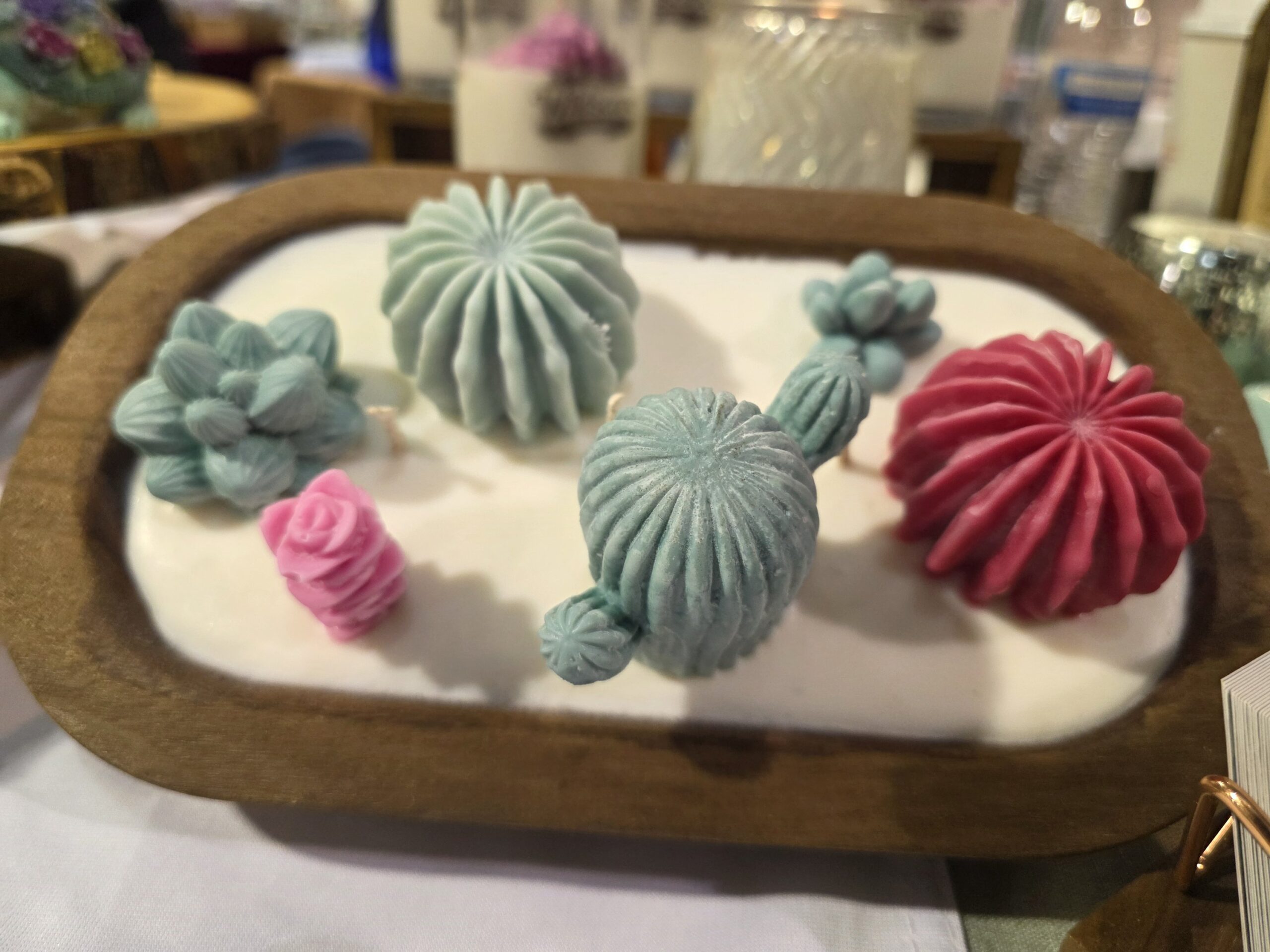 ✨️🌵succulent Oasis 🌵✨️ - Image 2