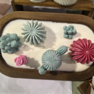 ✨️🌵succulent Oasis 🌵✨️