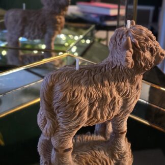 ✨️Large Highland Cow✨️