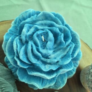 Blue Peony -Cashmere