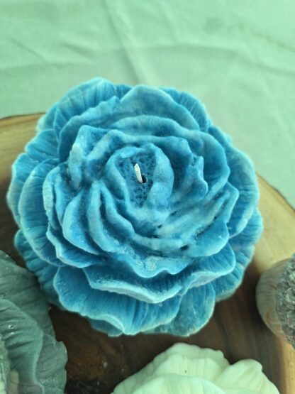 Blue Peony -Cashmere